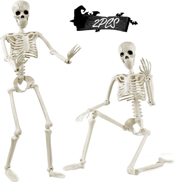 Two white plastic full-body skeletons with bending joints, one standing and one kneeling.